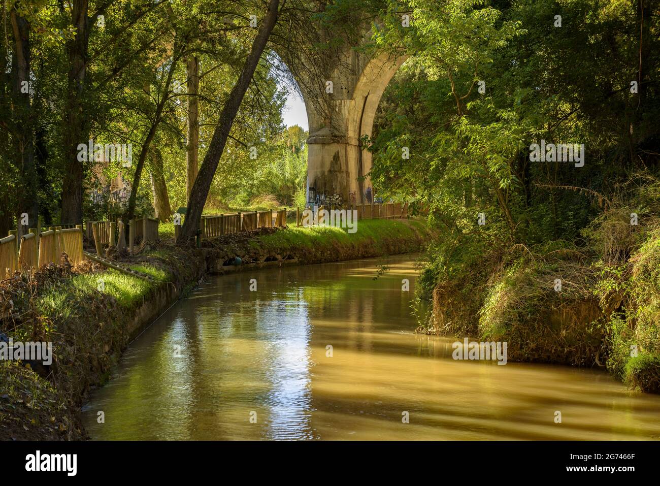 Wald um Cal Forcada Firmenstadt in Navàs, neben dem Fluss Llobregat (Navàs, Barcelona, Katalonien, Spanien) ESP: Entornos de bosque en Navàs Stockfoto