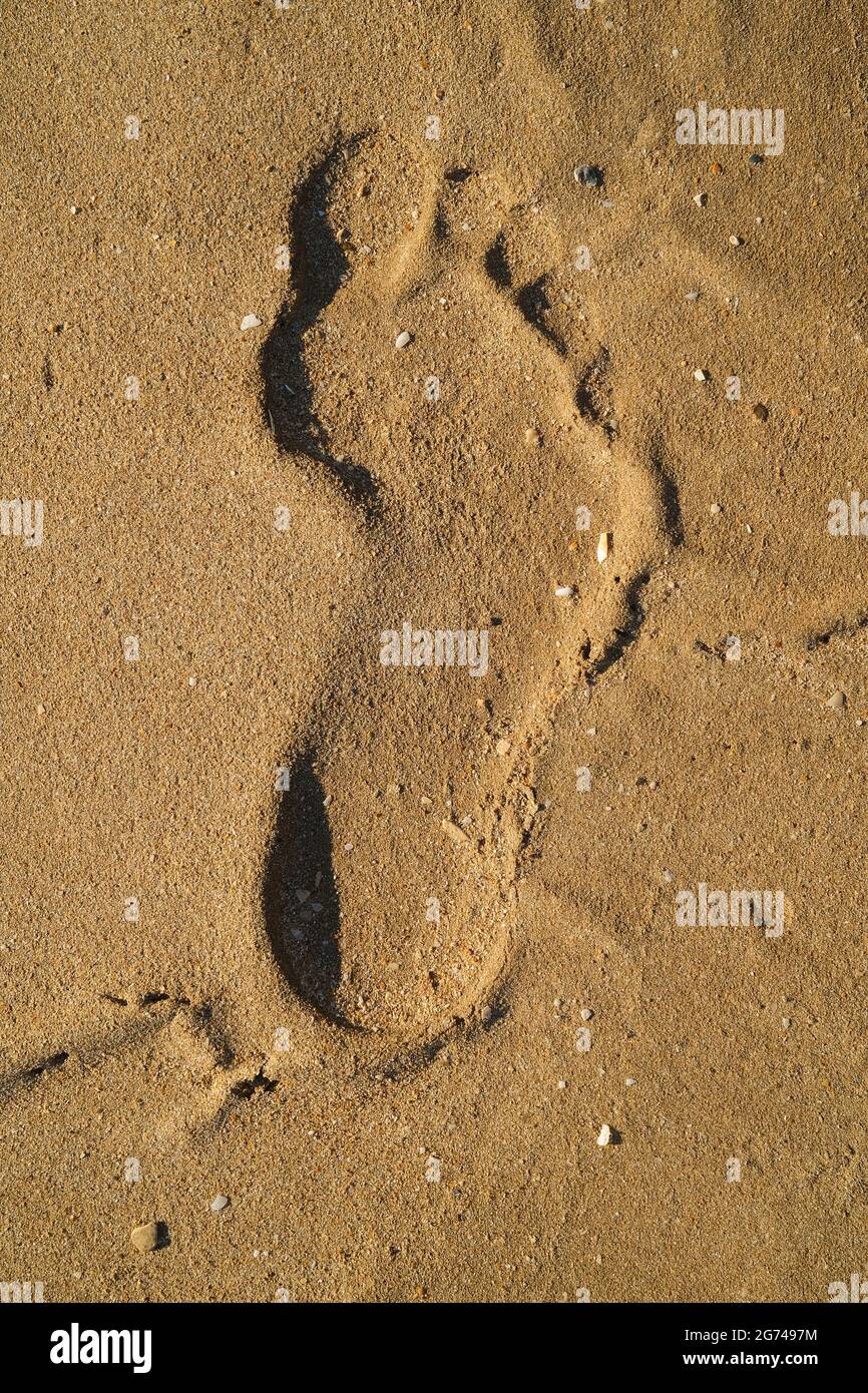 Fußabdruck im sand Stockfoto