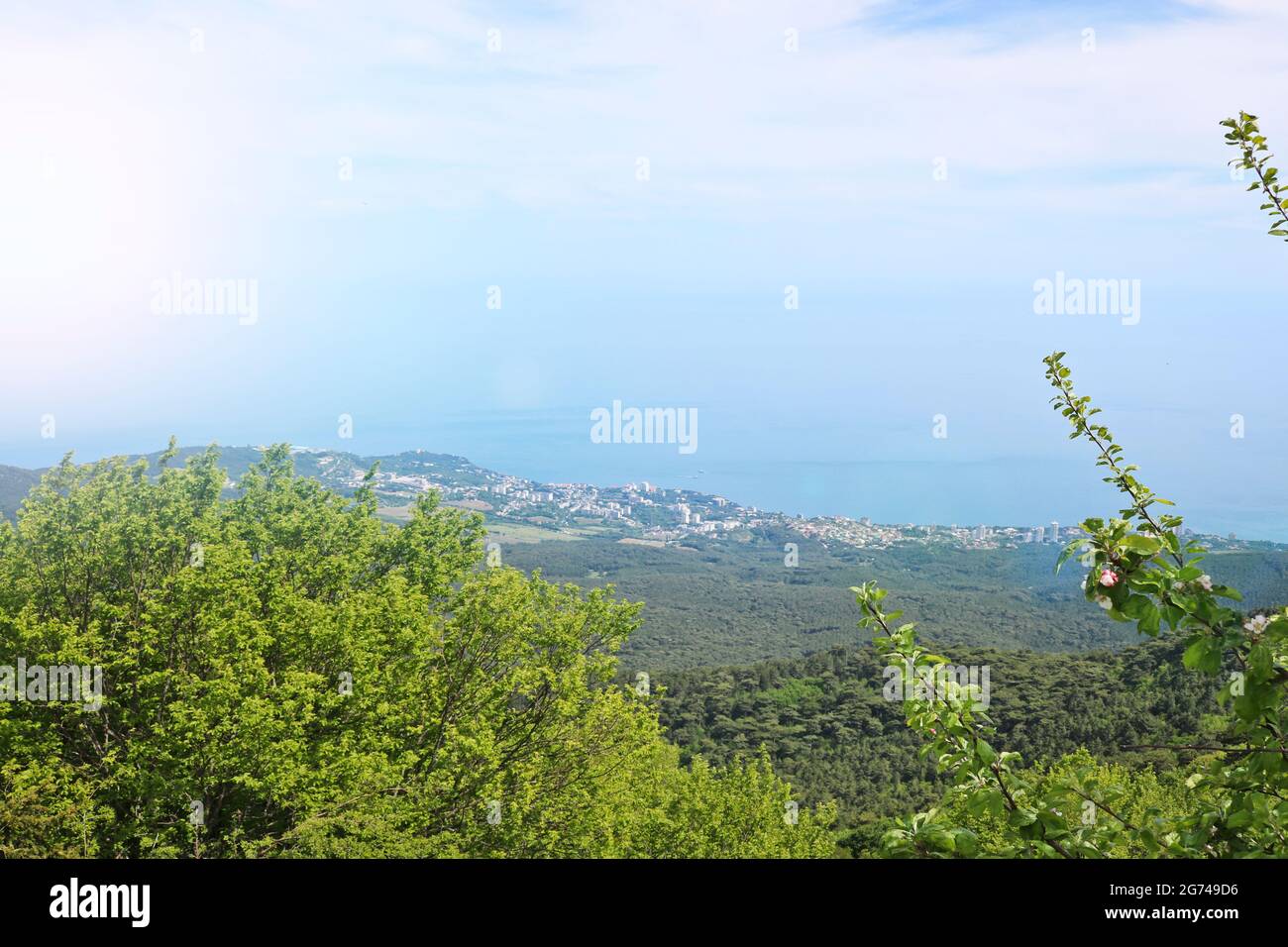 Blick von der Aussichtsplattform auf die sonnige Jalta, Krim. Rahmen mit einem blühenden Baum, Mai. Stockfoto
