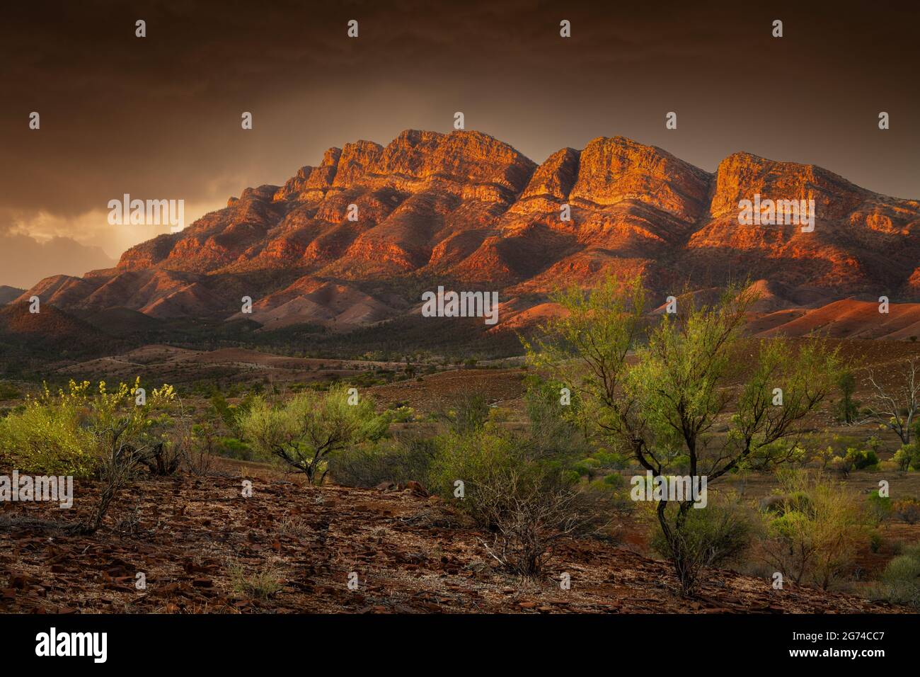 Dramatisches Licht auf der majestätischen Elder Range in den Flinderrs Ranges. Stockfoto