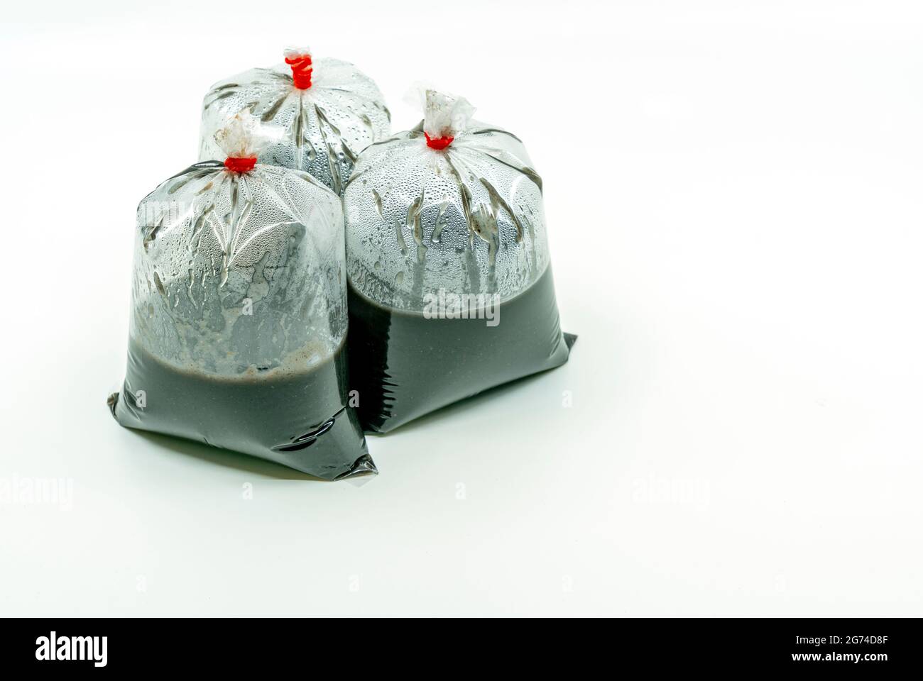 Schwarze Sesamsuppe in gereinigtem Plastikbeutel auf weißem Hintergrund zum Verkauf. Drei Beutel mit schwarzen Sesamsuppen, Krawatte mit Gummiband. Stockfoto