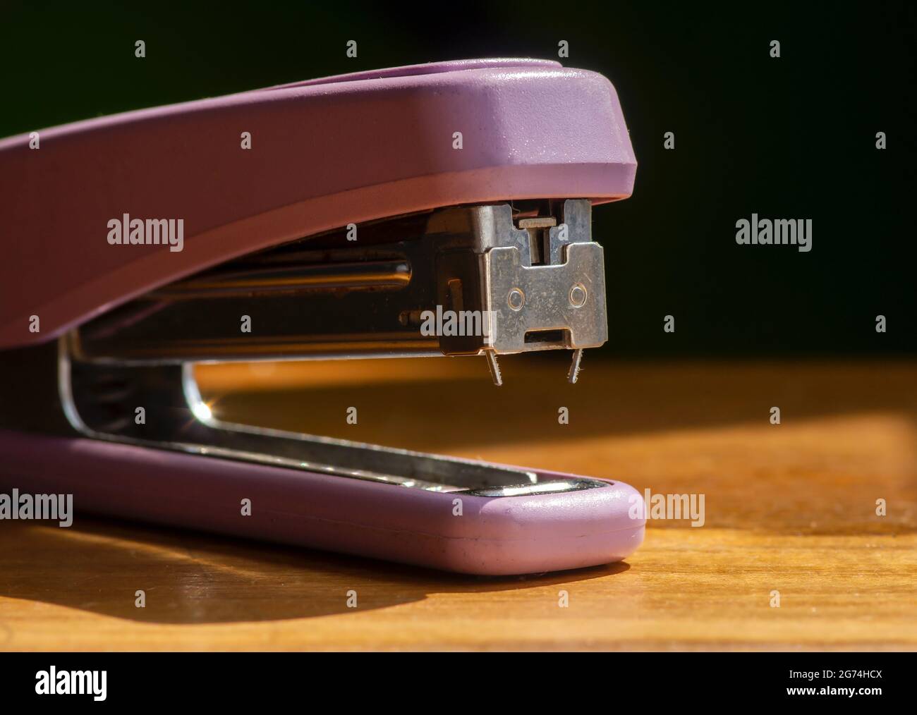 Nahaufnahme eines violetten Hefters auf einem Holztisch, ausgewählter Fokus auf dunklem Hintergrund Stockfoto