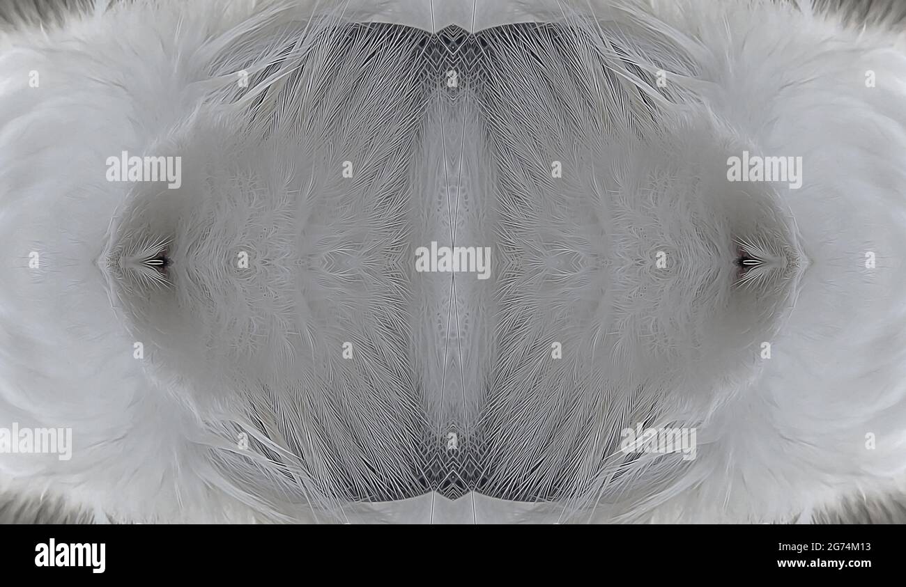 Kaleidoskop-Muster aus polarem Eulenportrait Stockfoto