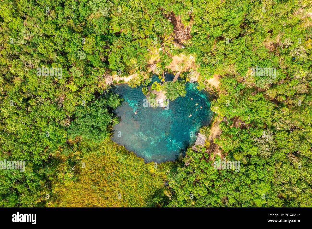 Herzförmige Cenote inmitten eines Dschungels in Tulum, Mexiko. Stockfoto