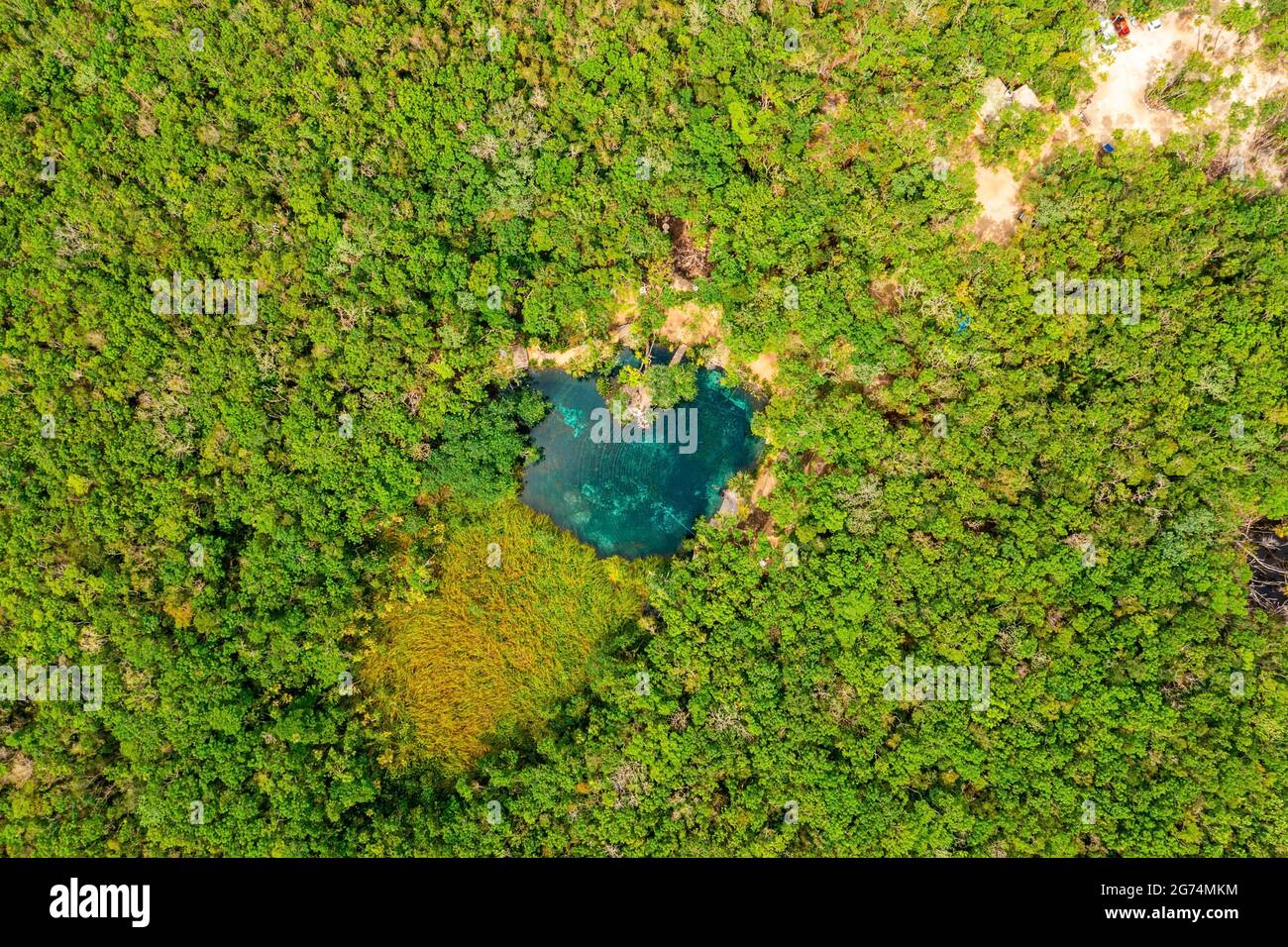 Herzförmige Cenote inmitten eines Dschungels in Tulum, Mexiko. Stockfoto