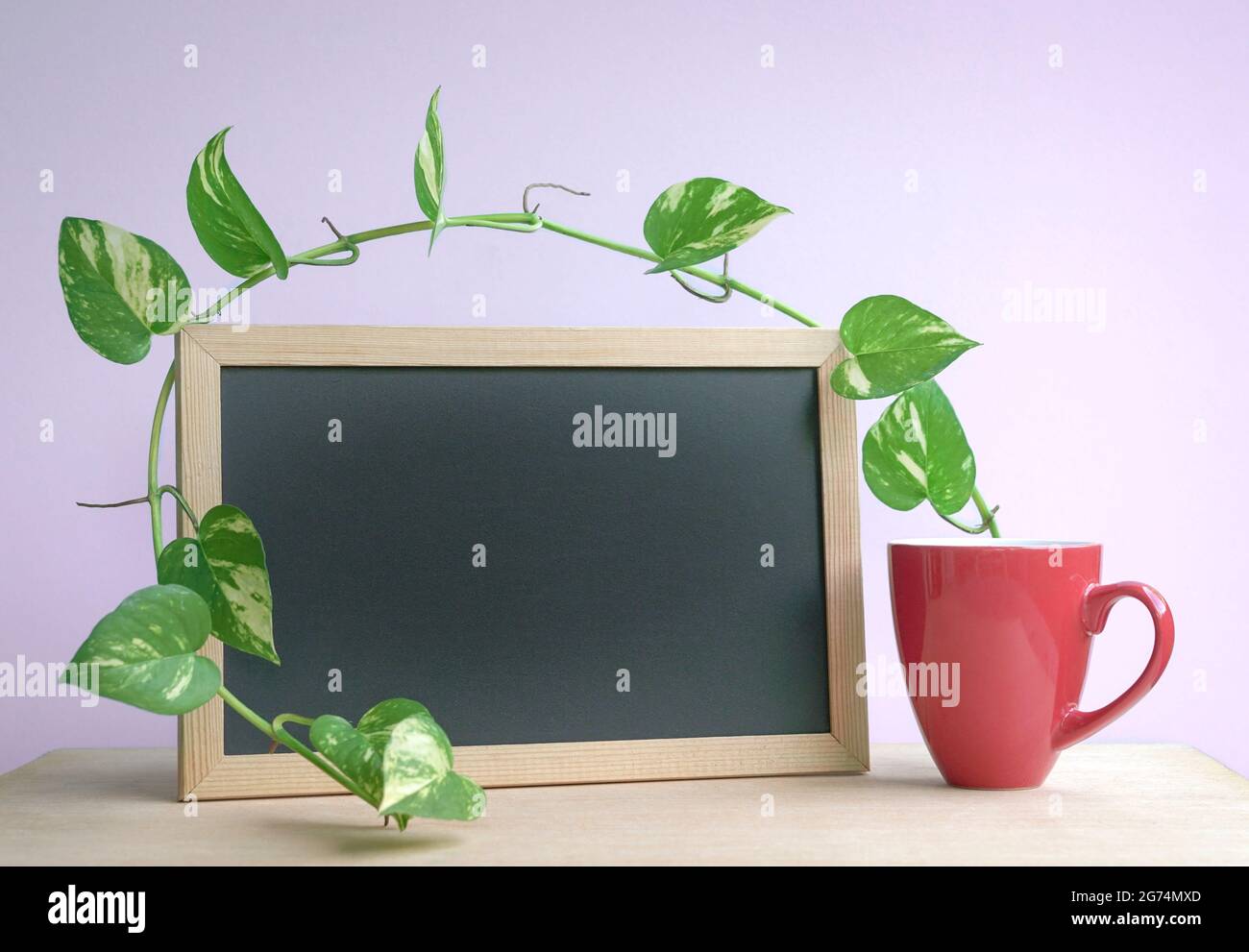 Guten Morgen Kaffee in roter Tasse mit leerer Tafel und grünen Pflanzen für Kopierplatz. Stockfoto