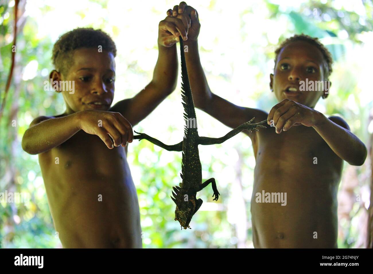 Jungen des Korowai-Stammes zeigen ihren frischen Fang - Haubendracheneidechse. Stockfoto
