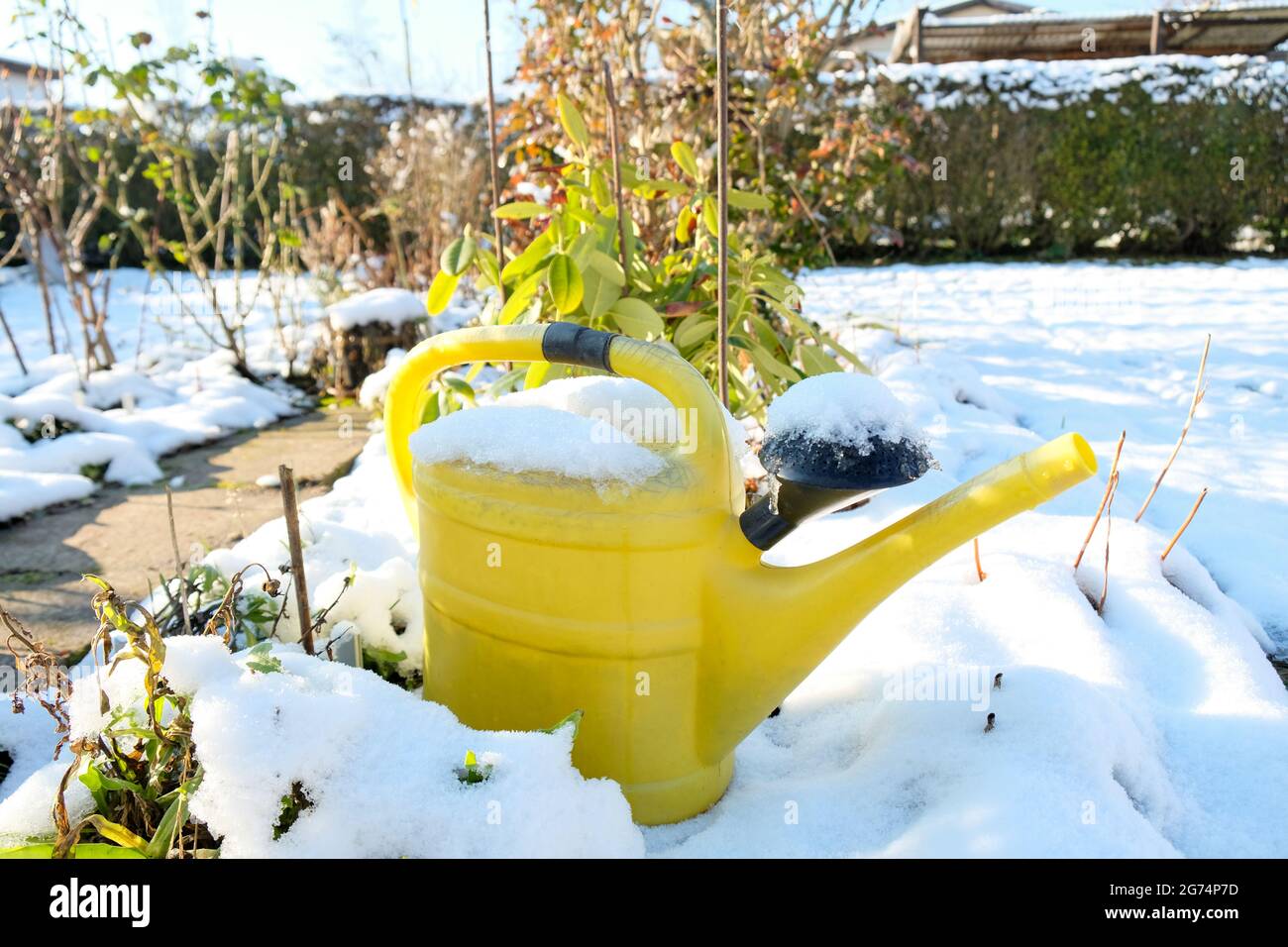 Im Winter steht im verschneiten Garten eine gelbe Gießkanne Stockfoto