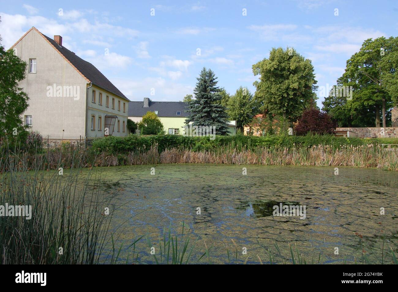 Schlenzer 2013, Dorfteich Stockfoto