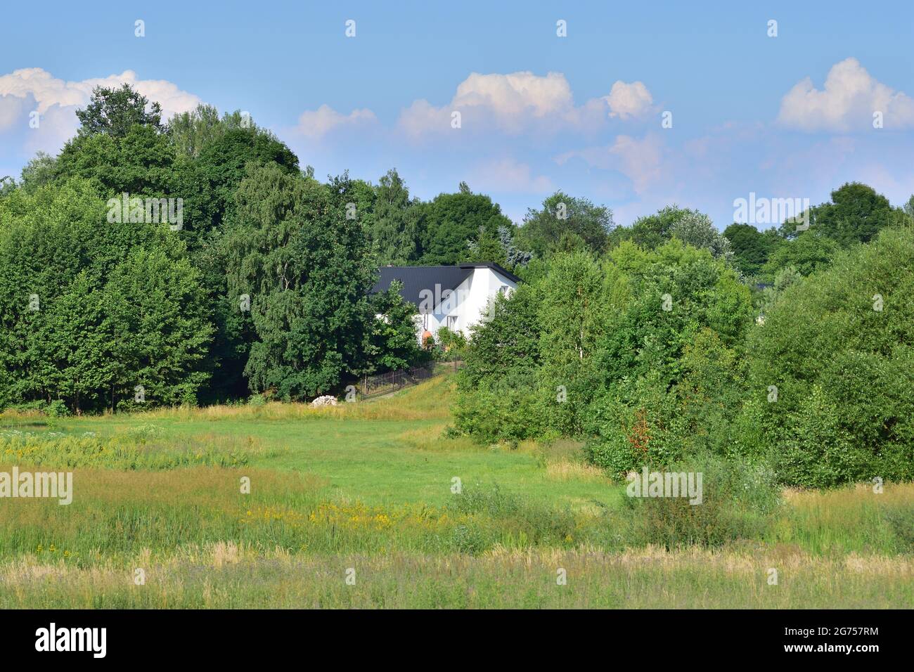 Blick auf das Anwesen der Einfamilienhäuser zwischen Bäumen und grünen Wiesen. Sommer. Stockfoto