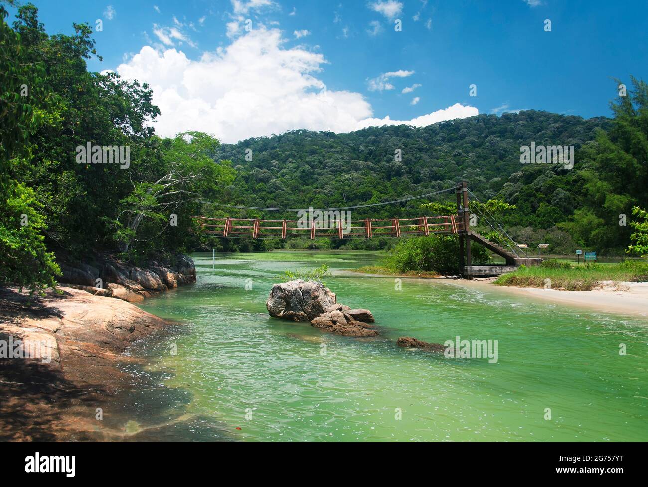 Eine Brücke, die an einem sonnigen Tag in Malaysia über einen meromiktischen See im Penang-Nationalpark führt. Stockfoto