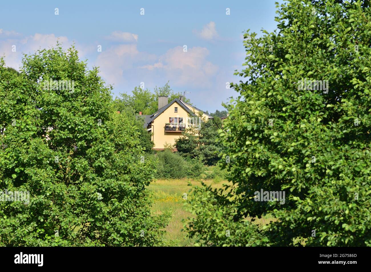 Blick auf das Anwesen der Einfamilienhäuser zwischen Bäumen und grünen Wiesen. Sommer. Stockfoto
