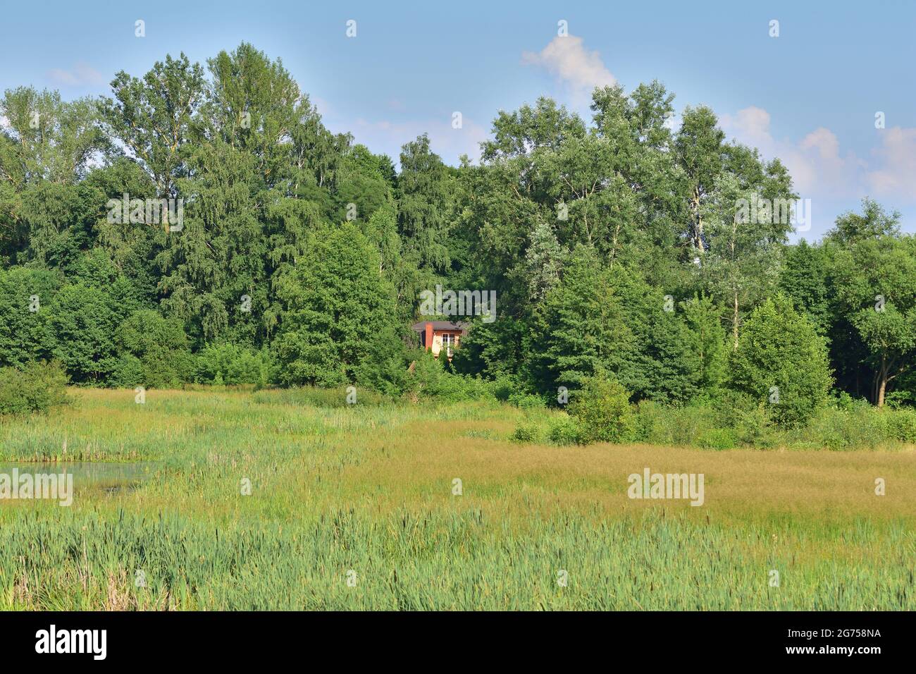 Blick auf das Anwesen der Einfamilienhäuser zwischen Bäumen und grünen Wiesen. Sommer. Stockfoto