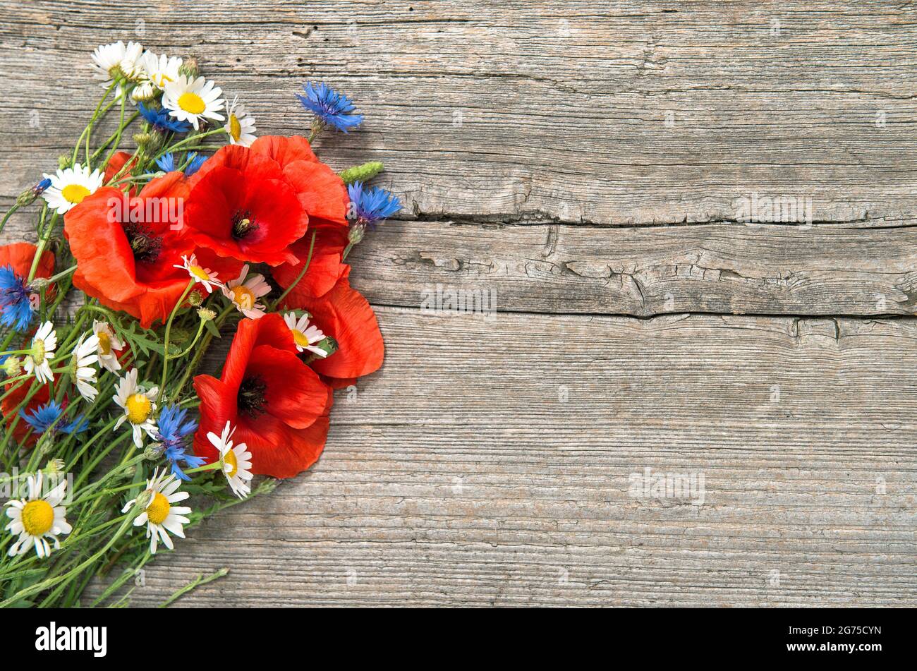 Poppy, Kornblume, Kamillenblüten Bouquet auf rustikalem Holzhintergrund Stockfoto