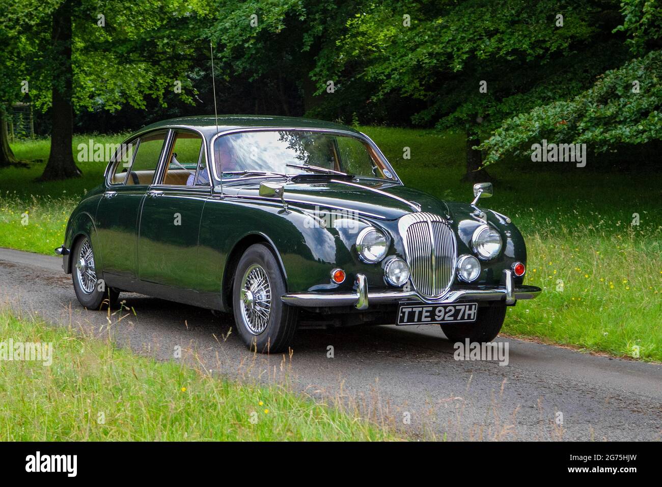 Vorderansicht eines 1969 60s grünen Daimler V8 250 2548ccm Benzin Luxuslimousine, Oldtimer Oldtimer Retro Freiheit Fahrer Fahrzeug Automobil Stockfoto