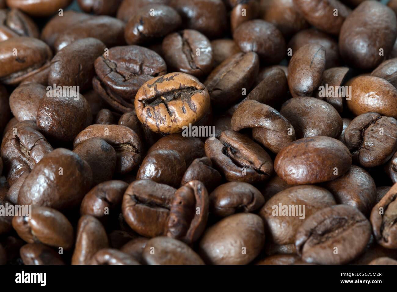 Kaffee Bohnen Stockfoto