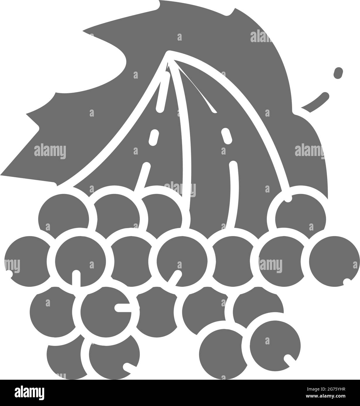 Vektor viburnum, Wachlder Rose Beeren grau Symbol. Stock Vektor