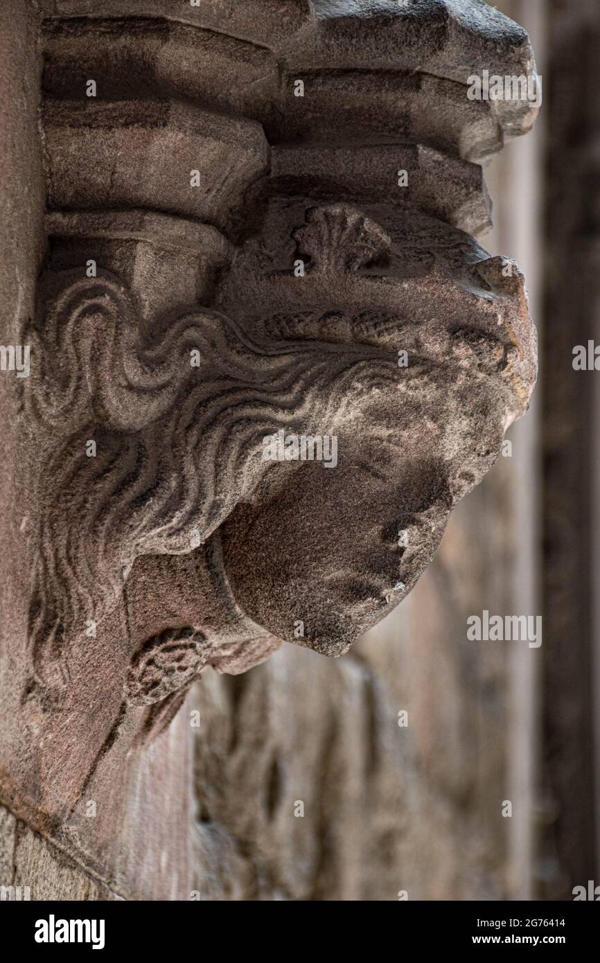 Zierkopf Stockfoto
