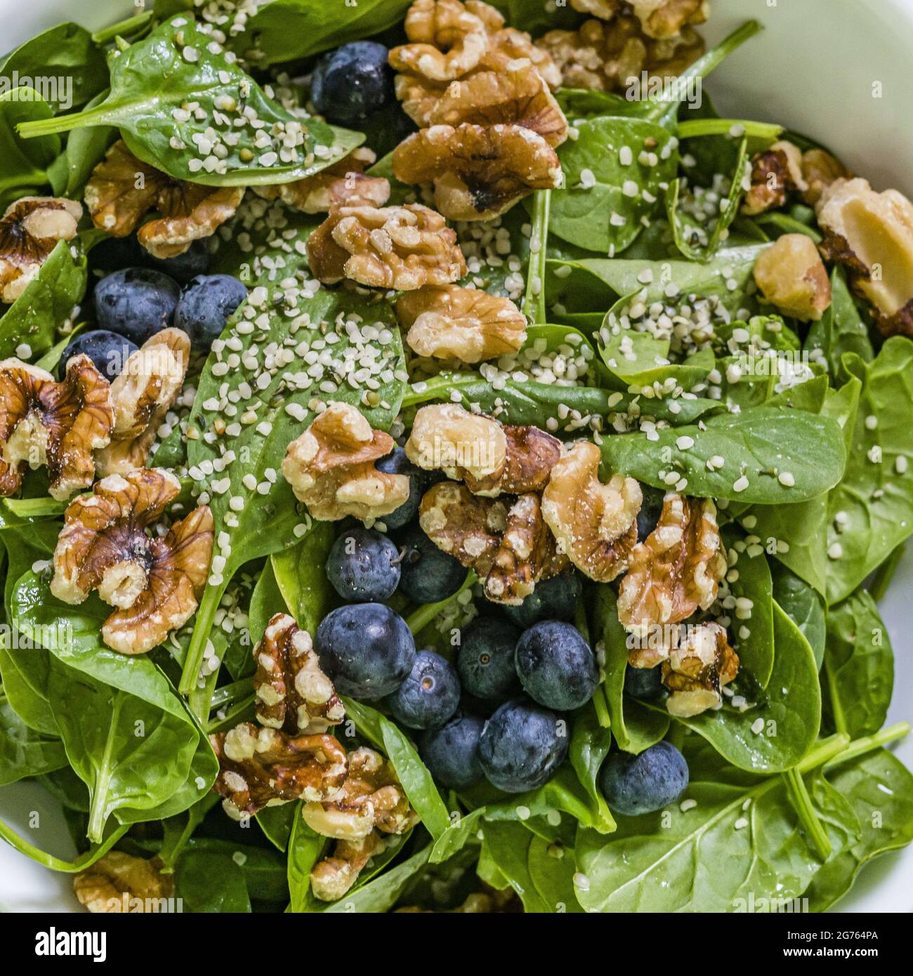 Oben frischer gesunder, feuchter grüner Spinat, Heidelbeere, Walnuss und Hanfherzen Salat in weißer Schale auf weißem Handtuch auf Holzhocker. Stockfoto