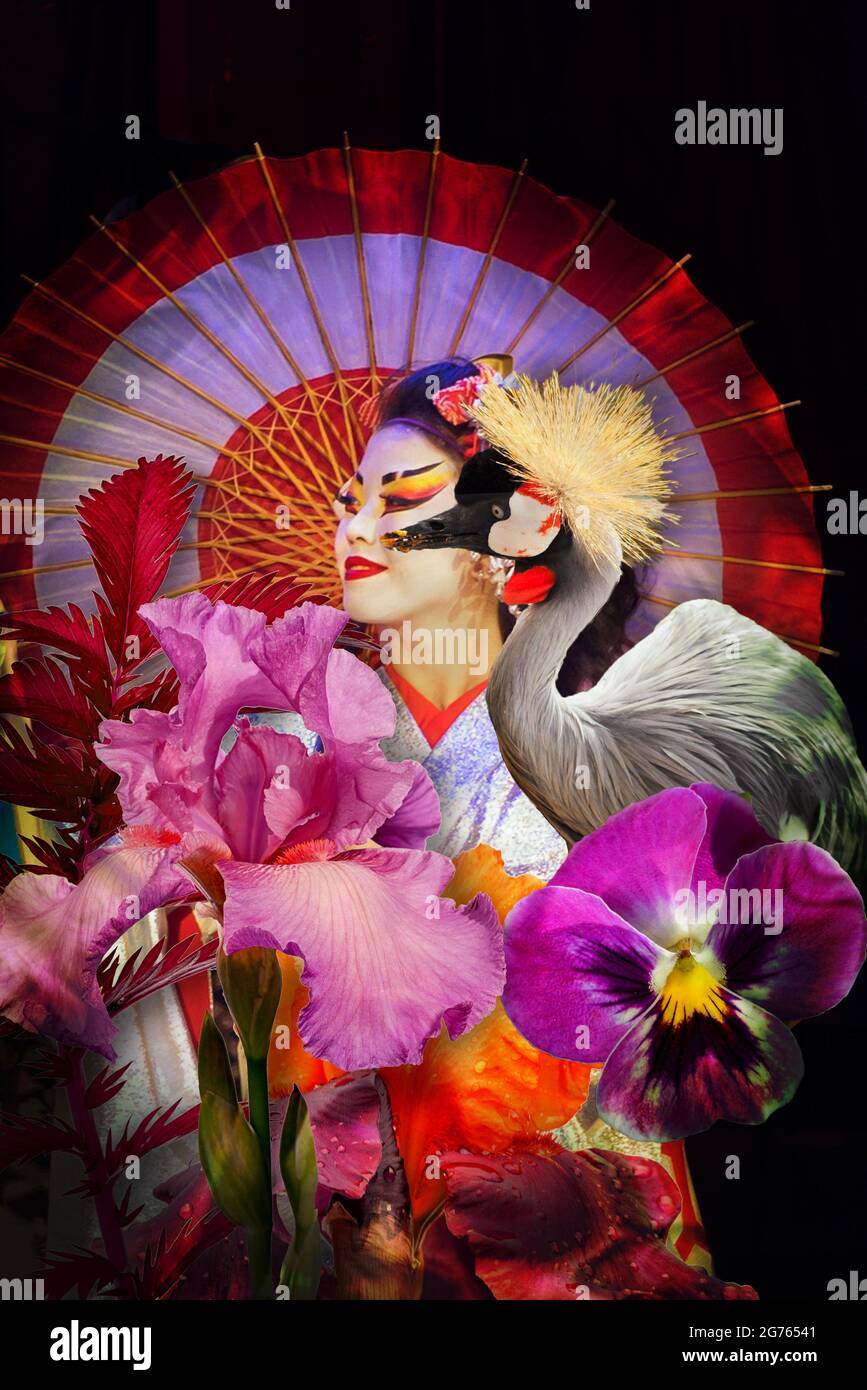 Geisha Collage Portrait mit Regenschirm, Blumen und Kran. Stockfoto