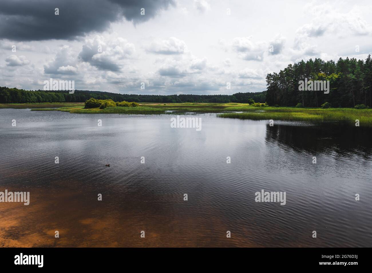Blick auf den Echo-See in Zwierzyniec, Roztocze, Polen. Schöner See umgeben von Wald und Feldern an einem bewölkten Tag. Stockfoto