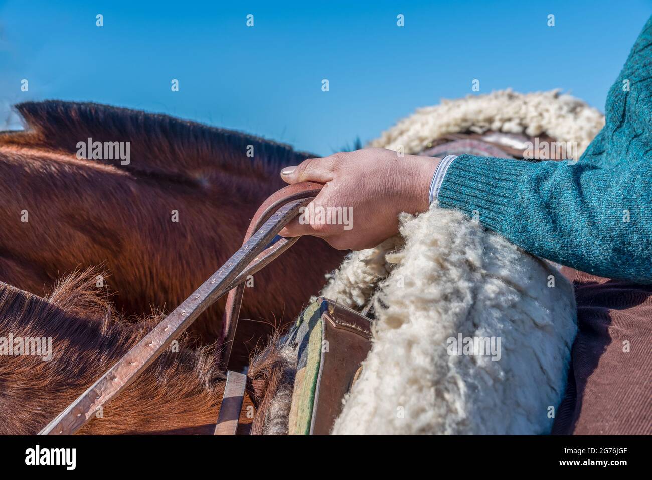 Ein argentinischer Gaucho auf dem Pferderücken, der die Zügel hält Stockfoto
