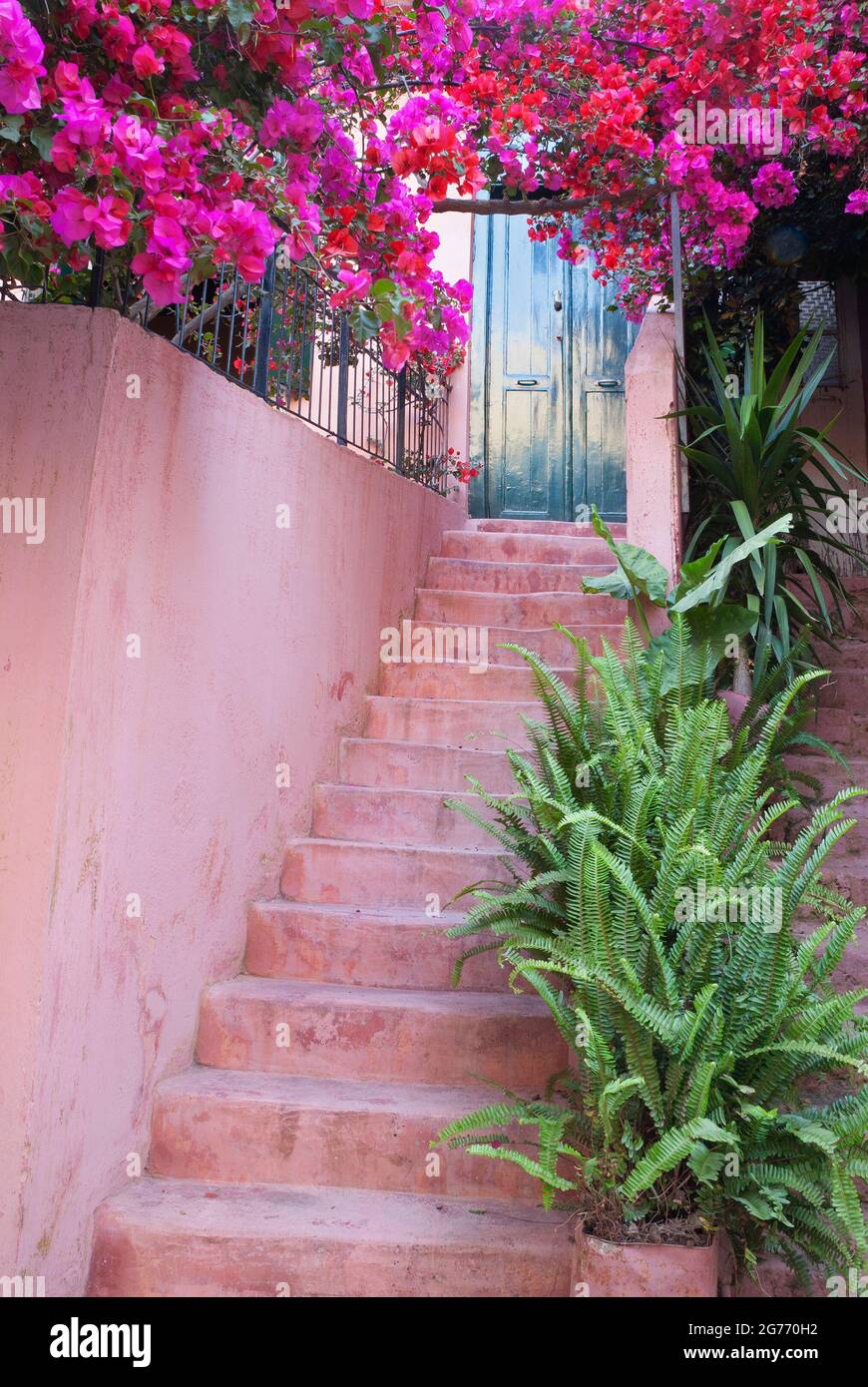 Bunte rosa schritte Fotos und Bildmaterial in hoher Auflösung Alamy