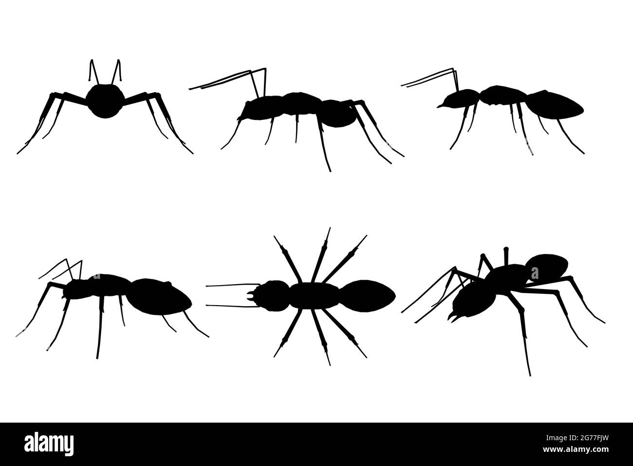 Set mit Umrissen von Ameise in verschiedenen Positionen isoliert auf weißem Hintergrund. Vektorgrafik. Stock Vektor