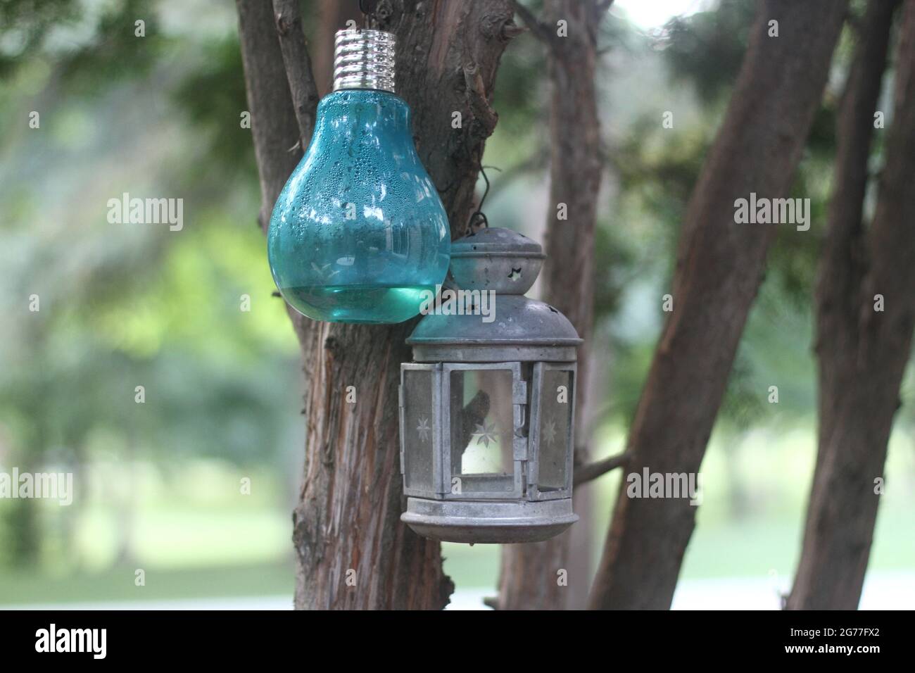 Blaue Glühbirne und Metalllaterne, die an einem Baum hängt Stockfoto