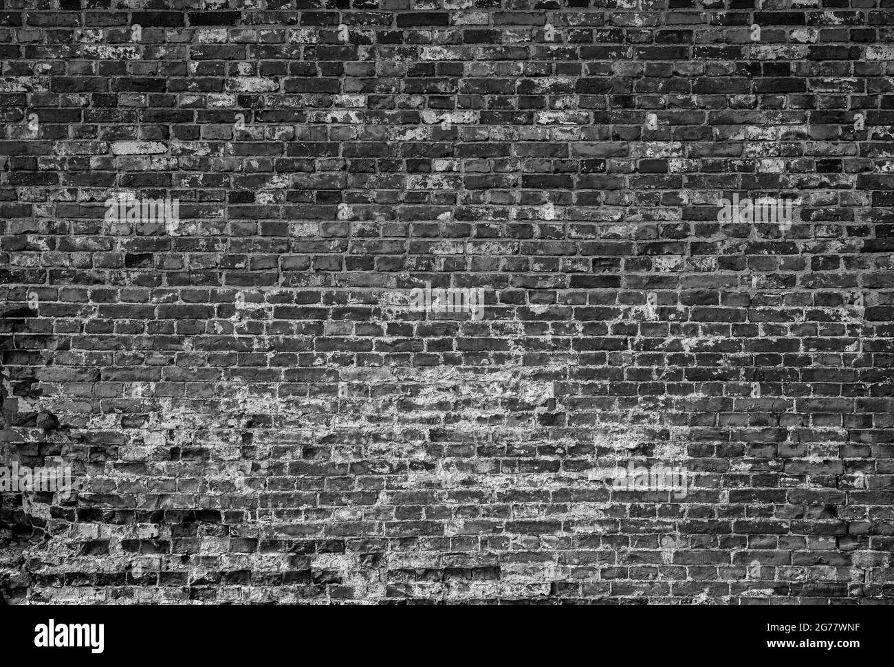 Vorderansicht der alten und verwitterten roten Ziegelmauer. Abstrakter, strukturierter Hintergrund im Vollformat in Schwarz und Weiß. Stockfoto