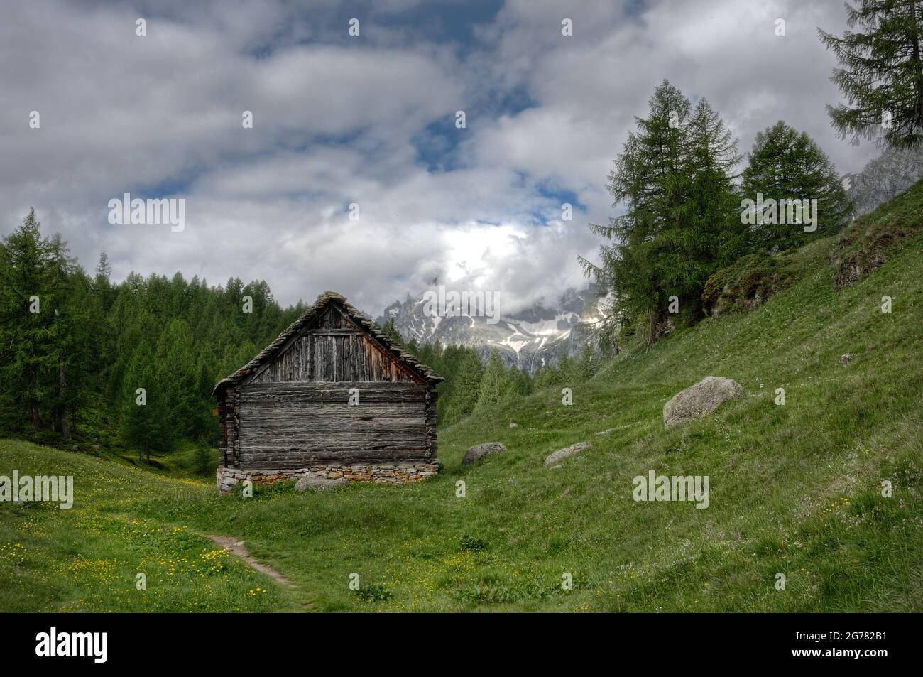 Traditionelle italienische Alpenscheune in der Nähe von Crampiolo in den italienischen alpen, aus Holz und Stein gebaut, im Hintergrund Wald und schneebedeckten Bergen Stockfoto