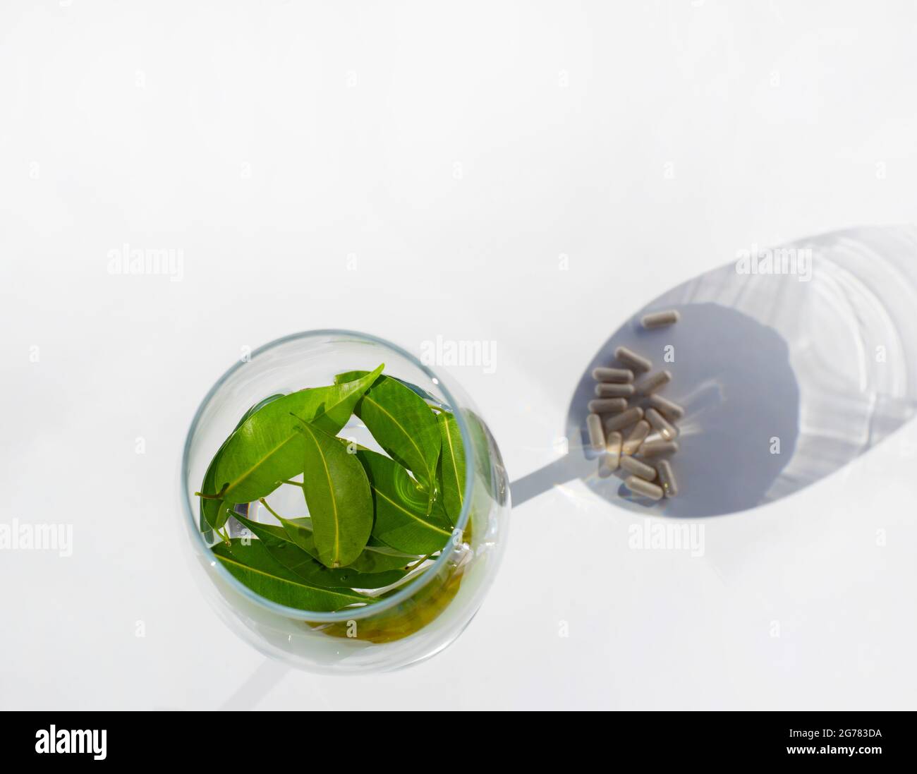 Weinglas mit Wasser und grünen frischen Blättern. Die Kapseln liegen in der Spiegelung des Glases. Schatten in Form eines Weinglases. Stockfoto