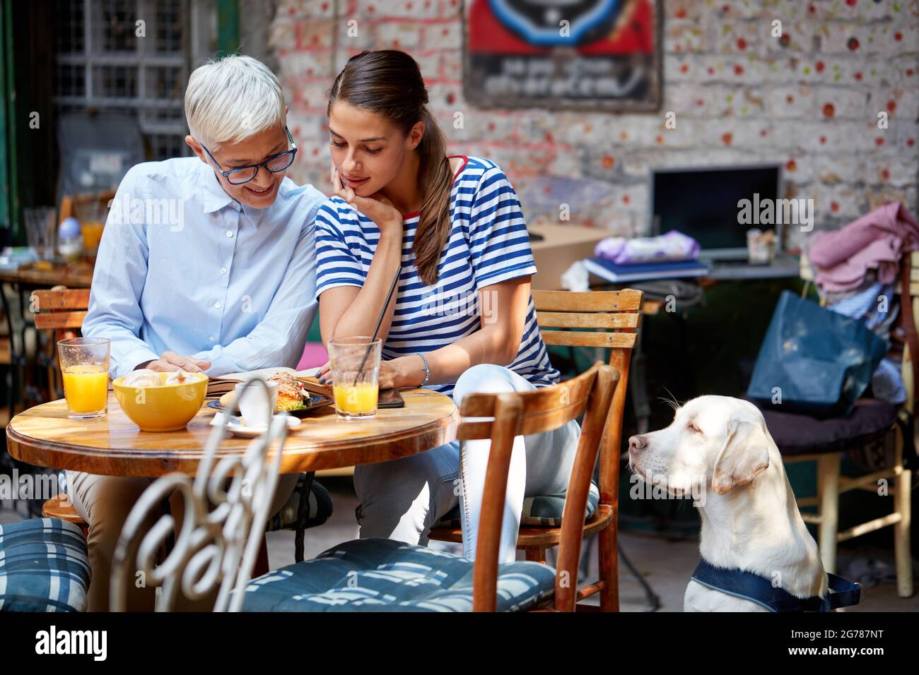 Junge Erwachsene Frau, die zusammen mit älteren kaukasischen Frauen ein Buch liest. Mit einer guten Zeit mit ihrem Hund neben. Mutter und Tochter Beziehung conc Stockfoto