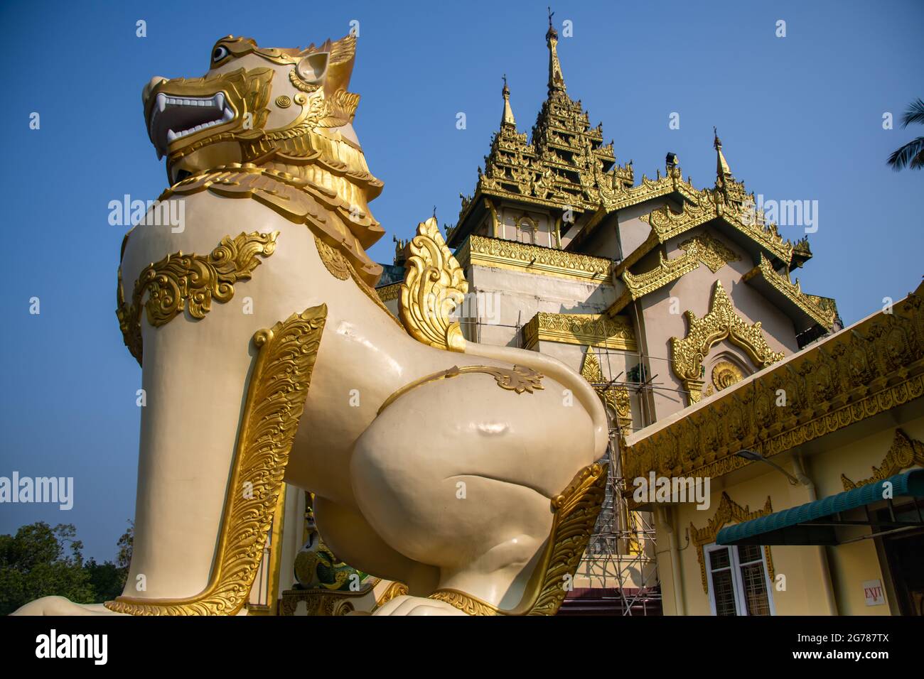 Die riesige Chinthe (Leogryphe) bewacht den Eingang zur Shwedagon-Pagode. Goldene Statue, die einem hockenden löwenähnlichen Wesen mit einem klaren blauen Himmel ähnelt Stockfoto
