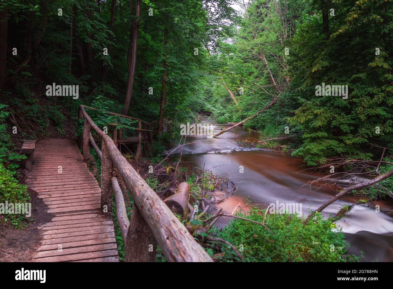Naturschutzgebiet Kaskaden am Fluss Tanew (Szumy nad Tanwią), Roztocze, Polen. Fluss, der im Sommer durch den grünen Wald fließt. Holzfußbrid Stockfoto