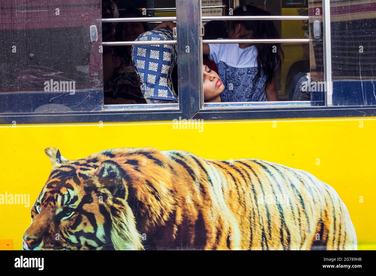 Attraktive junge indische Frau, die im Bus neben dem offenen Fenster schläft, mit Bild eines flüchernden Tigers, gemalt auf der Seite des Busses, Tamil Nadu, Indien Stockfoto