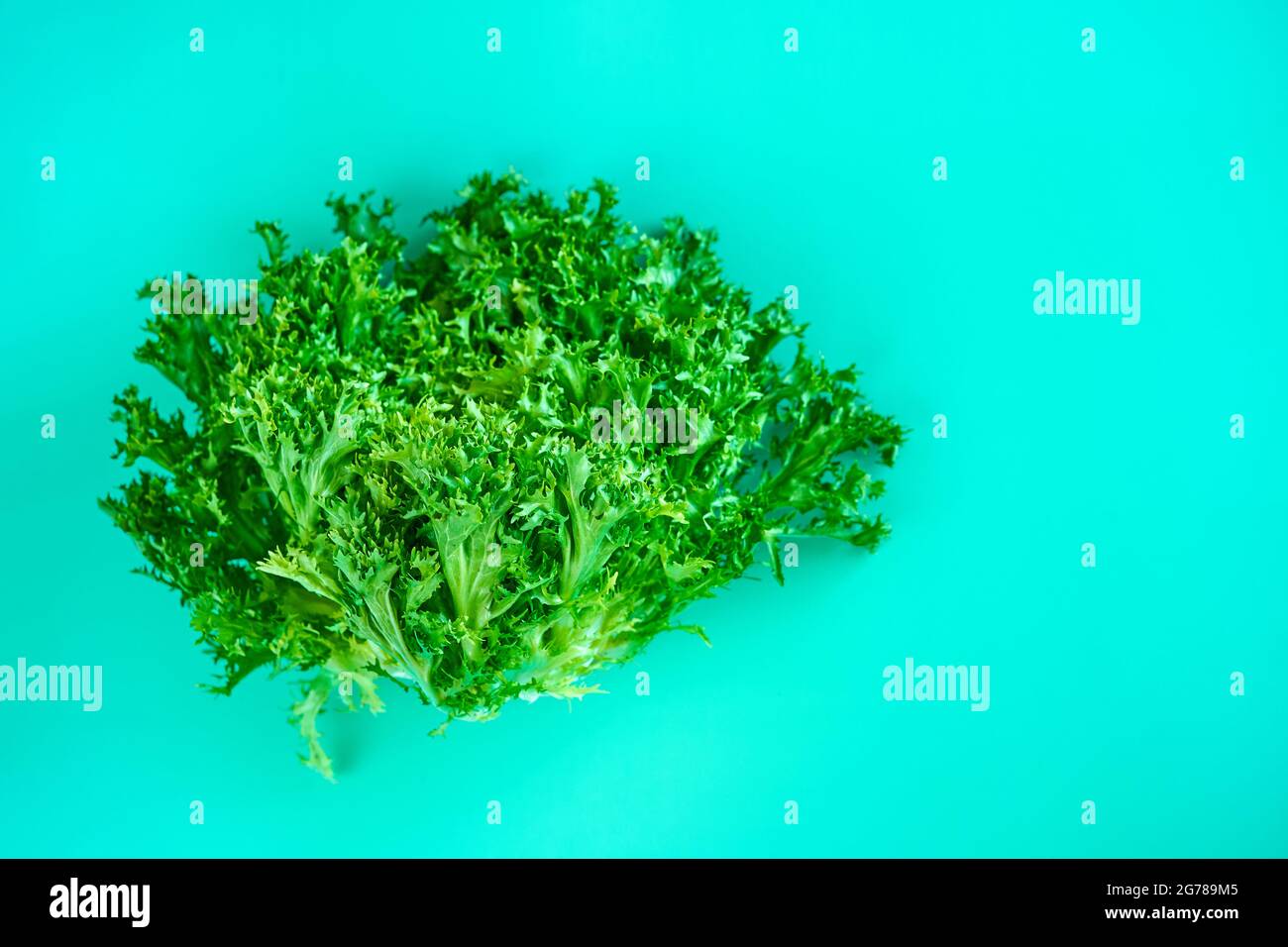 Busch von frischem grünen Salat Salat auf grünem Hintergrund. Stockfoto