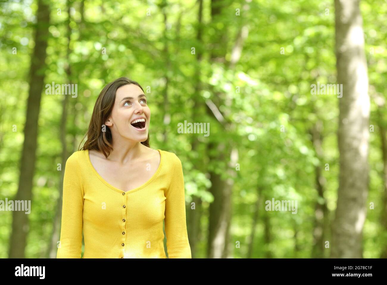 Staunende Frau, die in einem grünen Wald spazierend die Aussicht im Sommerurlaub betrachtet Stockfoto