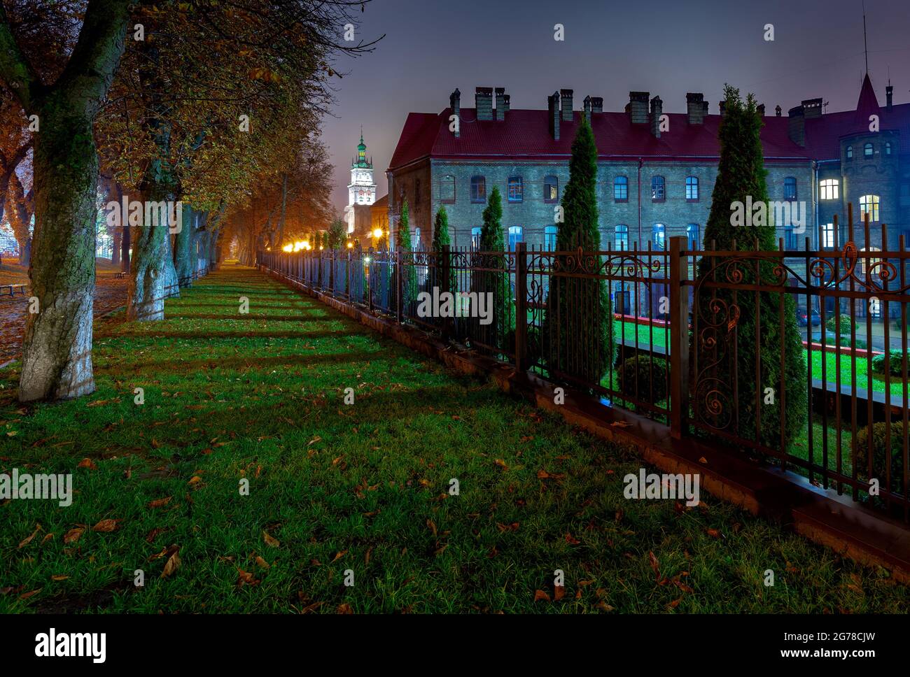Alte Stadtallee in der Innenstadt bei Nacht. Lviv. Ukraine. Stockfoto