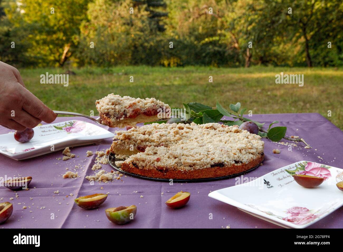 Pflaumenkuchen mit Krümel, selbst gemacht, Pflaumen, Garten, Sommer, Genuss Stockfoto