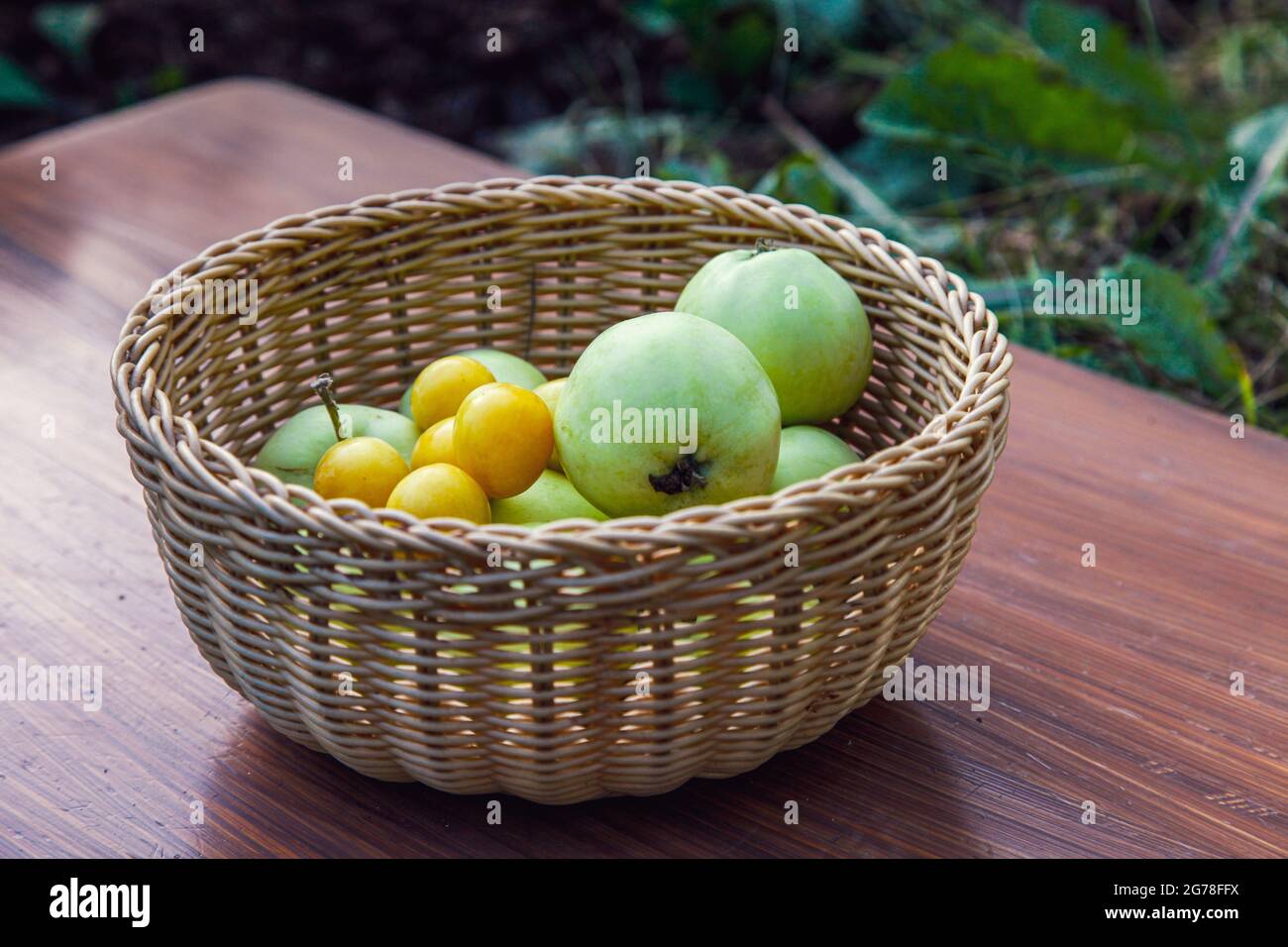 Mirabelle Pflaumen, Äpfel, Obstkorb, grün, gelb, Sommer Stockfoto