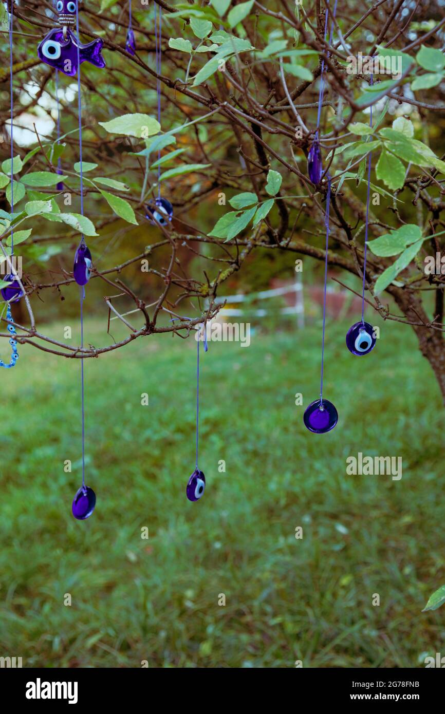 Türkische Nazar-Amulette (türkisches Auge), die im Herbst an einem Baum im  Garten hängen Stockfotografie - Alamy