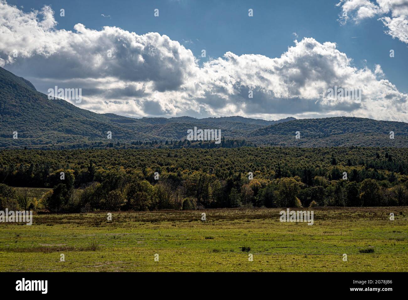 Wiesen und endlose Wälder in Rumänien Stockfoto