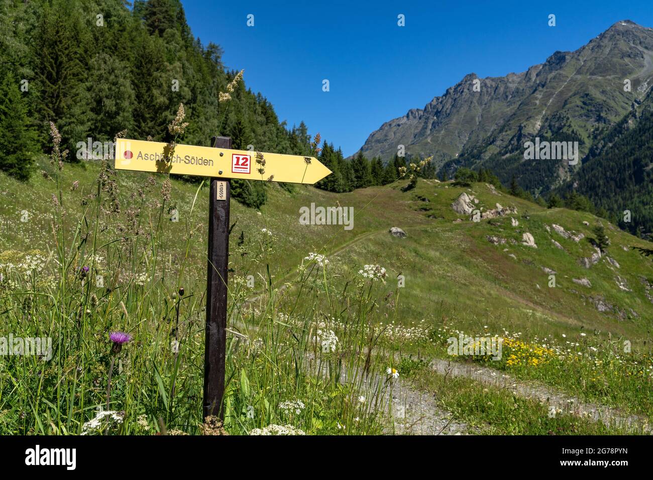 Europa, Österreich, Tirol, Ötztal Alpen, Ötztal, Wegmarkierung des Ötztaler Urweg auf einer Bergwiese in der Nähe der Snackbar Hochwald Stockfoto