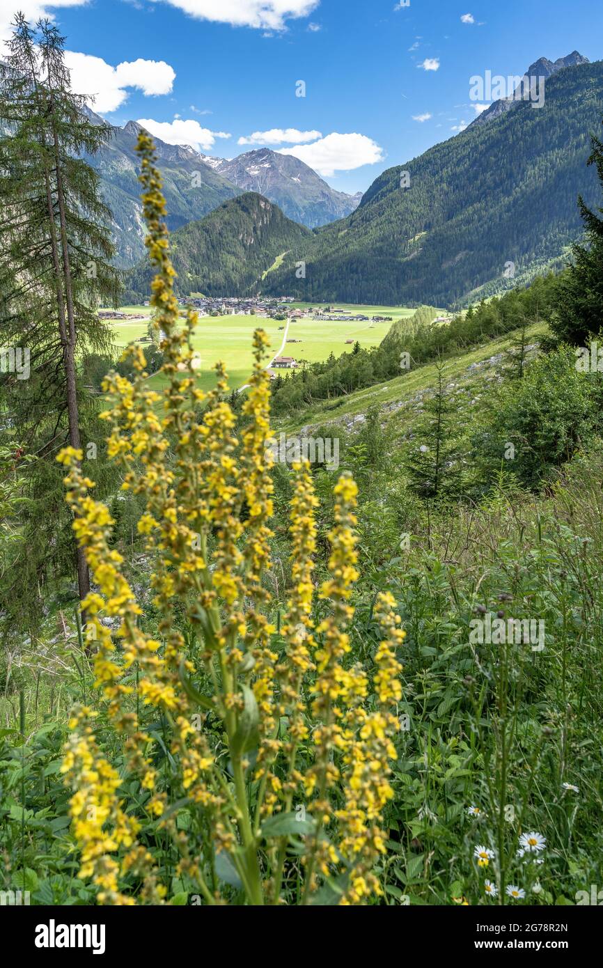 Europa, Österreich, Tirol, Ötztal Alpen, Ötztal, Huben, Blick aus dem hellen Bergwald auf Huben im Längenfeldtalbecken Stockfoto