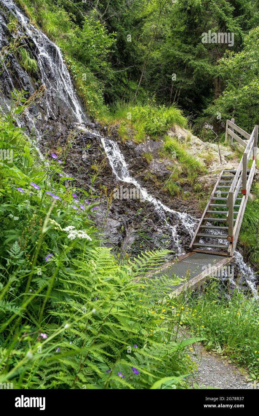 Europa, Österreich, Tirol, Ötztal Alpen, Ötztal, Kleiner Wasserfall im Bergwald oberhalb Längenfeld Stockfoto