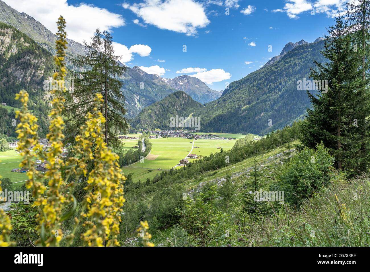 Europa, Österreich, Tirol, Ötztal Alpen, Ötztal, Huben, Blick vom hellen Bergwald auf das Längenfeld Becken um Huben Stockfoto