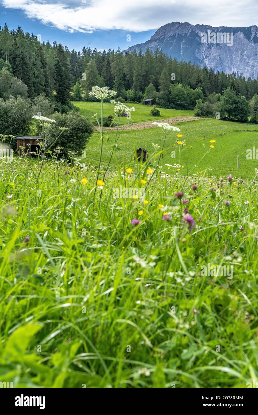 Europa, Österreich, Tirol, Ötztal Alpen, Ötztal, Sautens, Blick über den Bergweg zum mächtigen Tschirgant-Massiv Stockfoto
