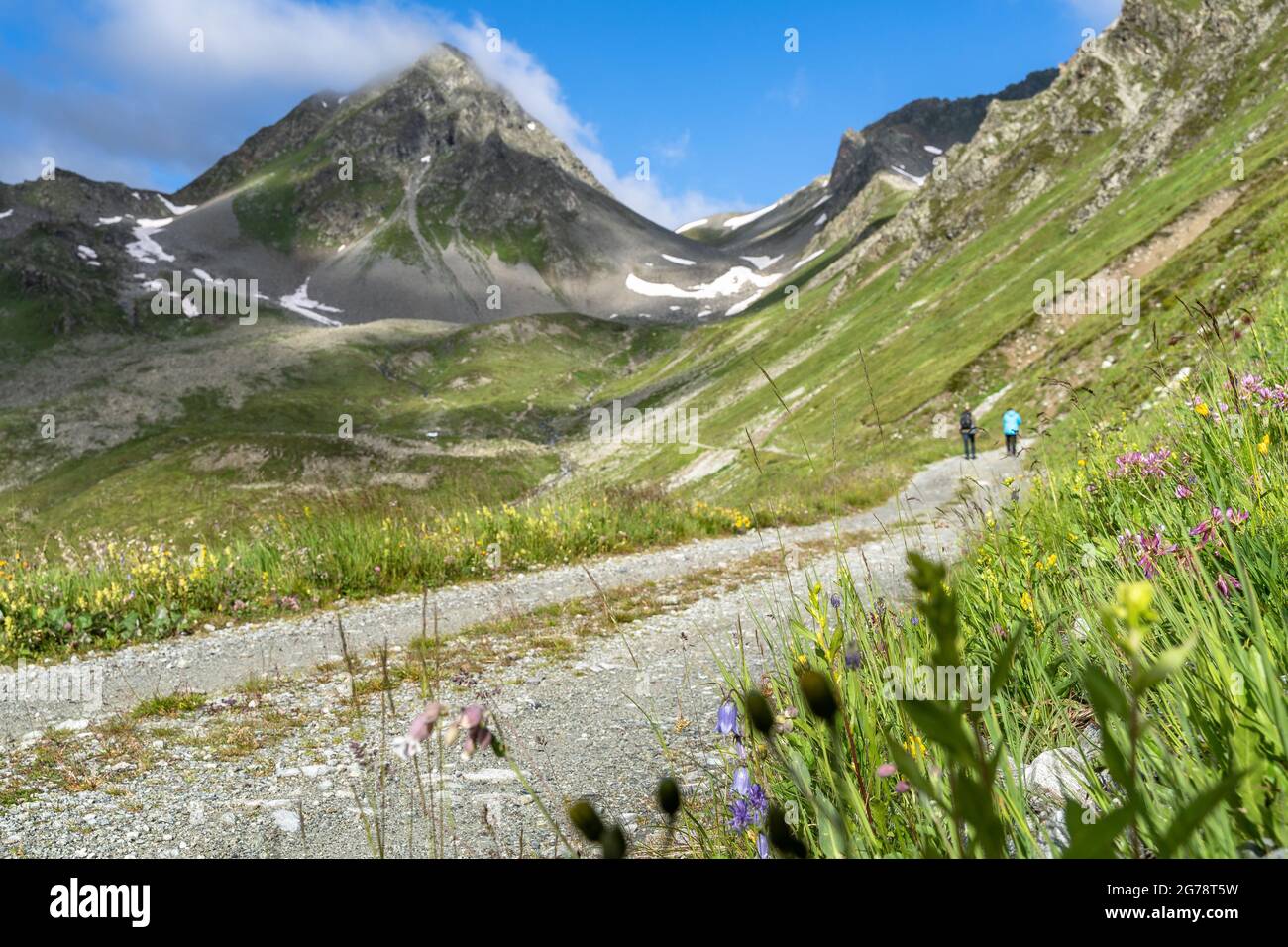 Europa, Österreich, Tirol, Verwall, Paznaun, Galtür, Friedrichshafener Hütte, Bergwanderer auf einem Waldweg vor der Kulisse der Gaisspitze Stockfoto