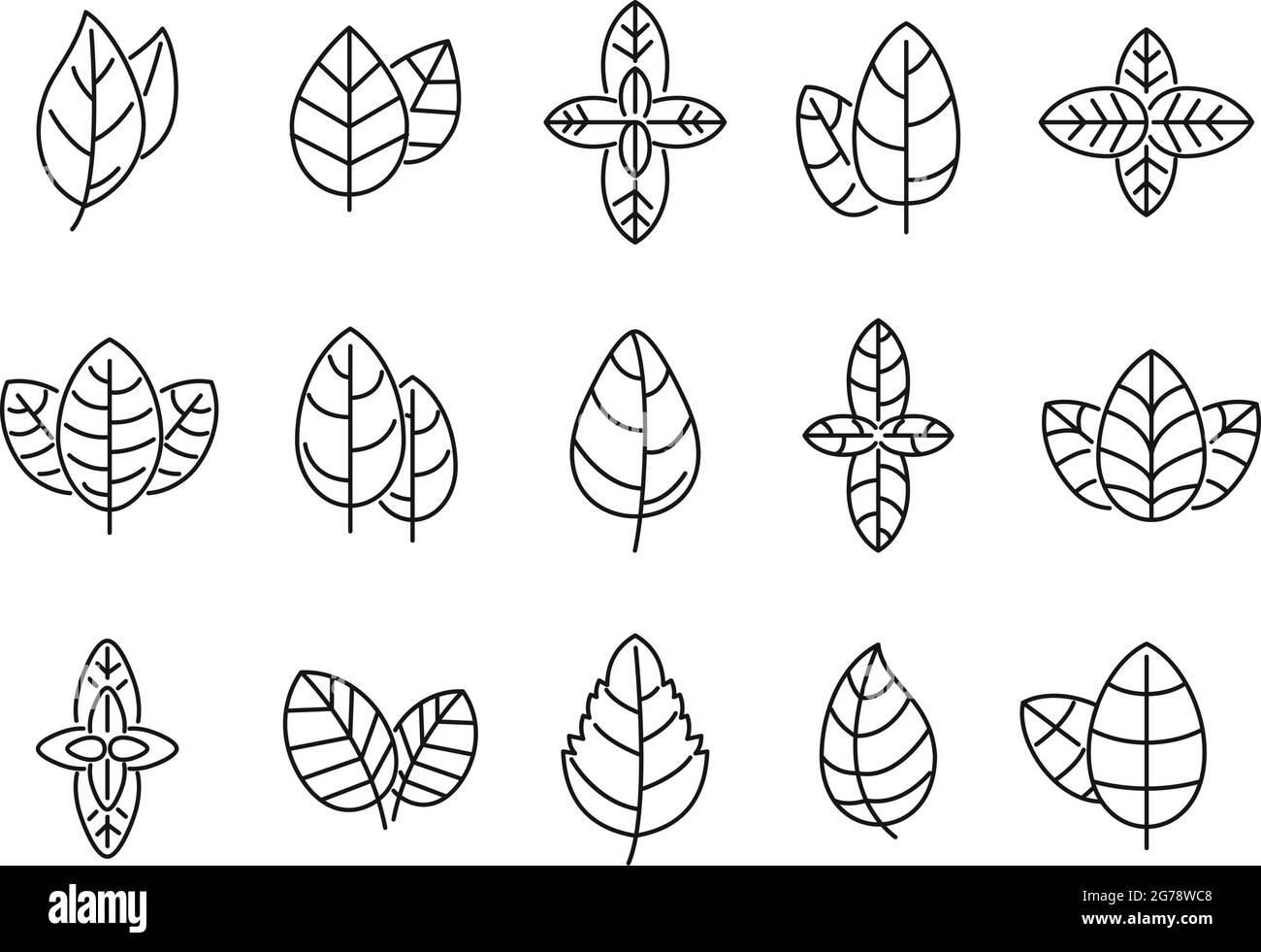 Landwirtschaft Basilikum Symbole setzen Kontur Vektor. Aromablatt. Aromatische Gesundheitsfürsorge Stock Vektor